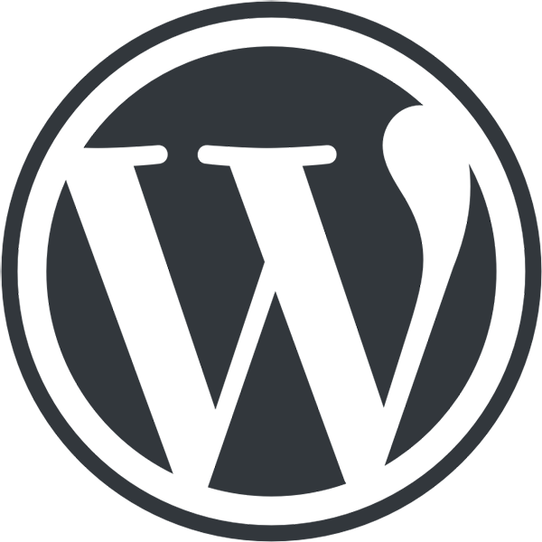 Wordpress web application development from aento